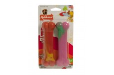 Nylabone Power Chew Flavor Frenzy Durable Dog Chew Toys Twin Pack Salami, Cheese and Watermelon Flavor Medium/Wolf - Up To 35 Lb