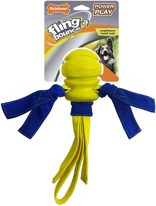 Nylabone Power Play Dog Fetch Toys FlingaBounce FlingaBounce, 1ea/Large 1 ct