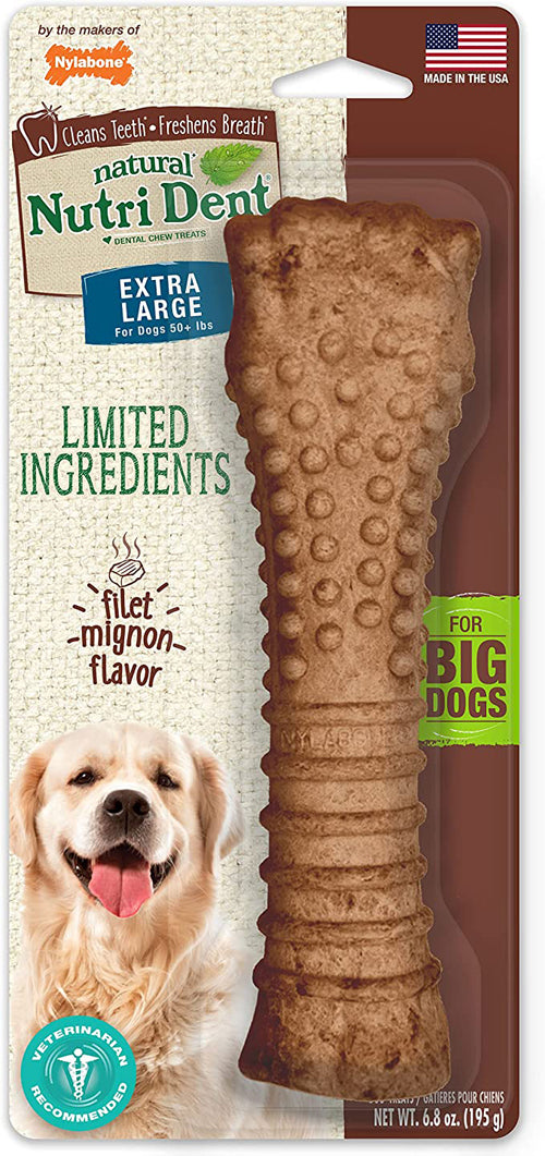 Nylabone Nutri Dent Filet Mignon Flavored Dog Dental Chews 1ea/XL/Souper 1 ct