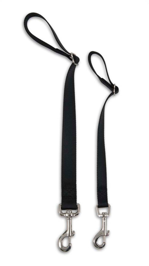Petmate Seat Belt Loop Tether Black Medium