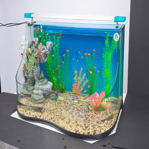Penn Plax Curved Aquaterrium Tank Medium