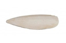 Prevue Pet Products Cuttlebone with Holder Natural 4 in 25 Piece Small
