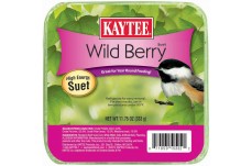 Kaytee Wild Berry High Energy Mini Suet 11.75 Ounces