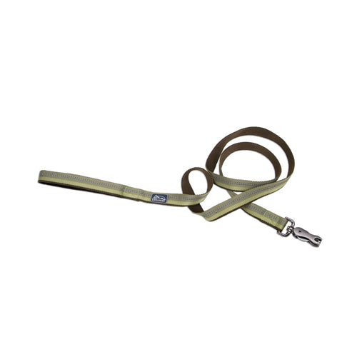 Coastal Products K9 Explorer Reflective Dog Leash with Scissor Snap Fern
