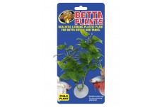 Zoo Med Betta Plant Philo Green