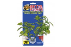 Zoo Med Betta Plant Window Leaf Green