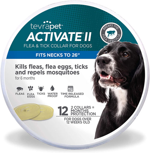 Vetality Protect Flea & Tick Dog Collar 2 Pack