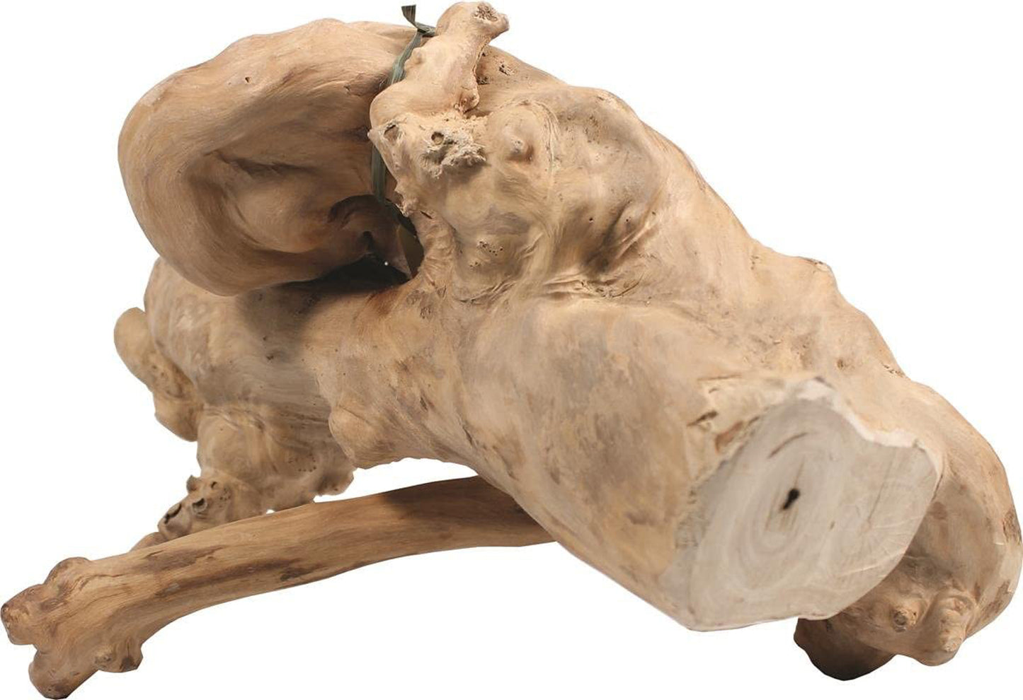 A E Cages Java Wood Reptile Branch 1ea/SM