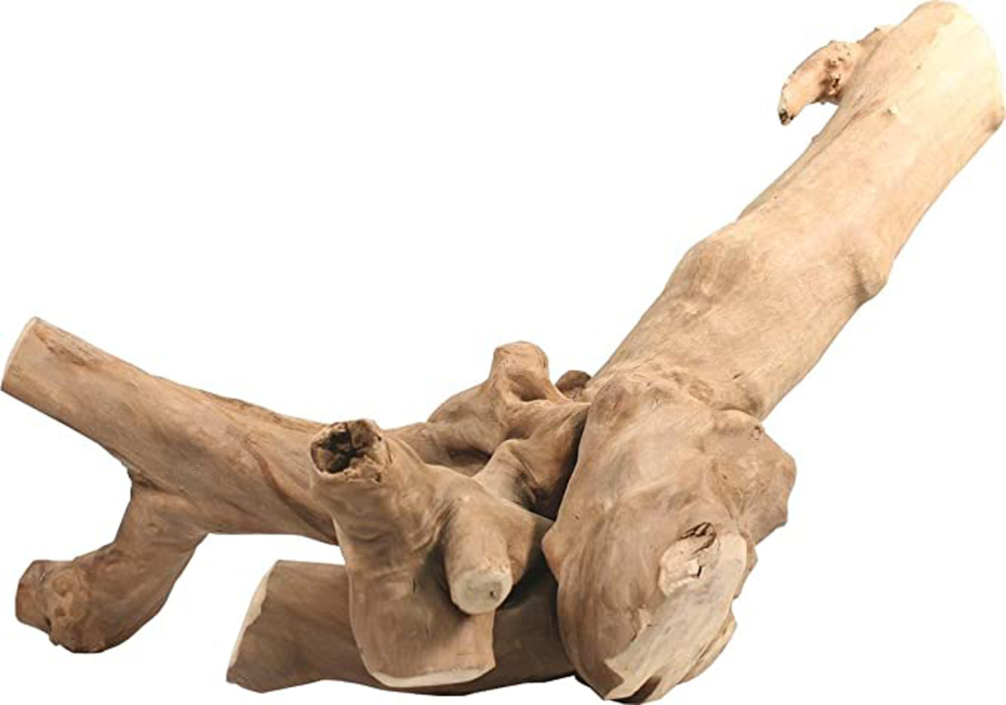 A E Cages Java Wood Reptile Branch 1ea/LG