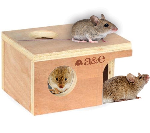 A E Cages Small Animal Hut Mouse, Wood, 1ea/5 1/4 in X 3 7/8 in X 3 in