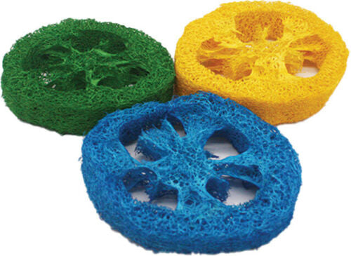 A E Cages Nibbles Small Animal Loofah Chew Toy Slices, 1ea