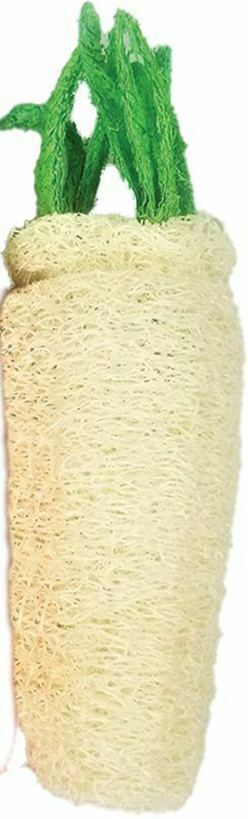 A E Cages Nibbles Small Animal Loofah Chew Toy Large Daikon, 1ea
