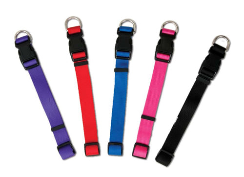 Aspen Basic Nylon Adjustable Dog Collar Black 3/8 in x 8-14 in Small