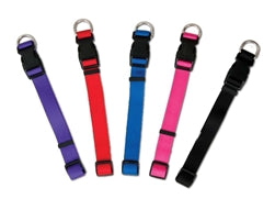 Aspen Basic Nylon Adjustable Dog Collar Royal Blue 1 in x 16-26 in Large