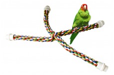 JW Pet Comfy Perch Cross Multi-Color Medium