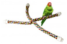 JW Pet Comfy Perch Cross Multi-Color Large