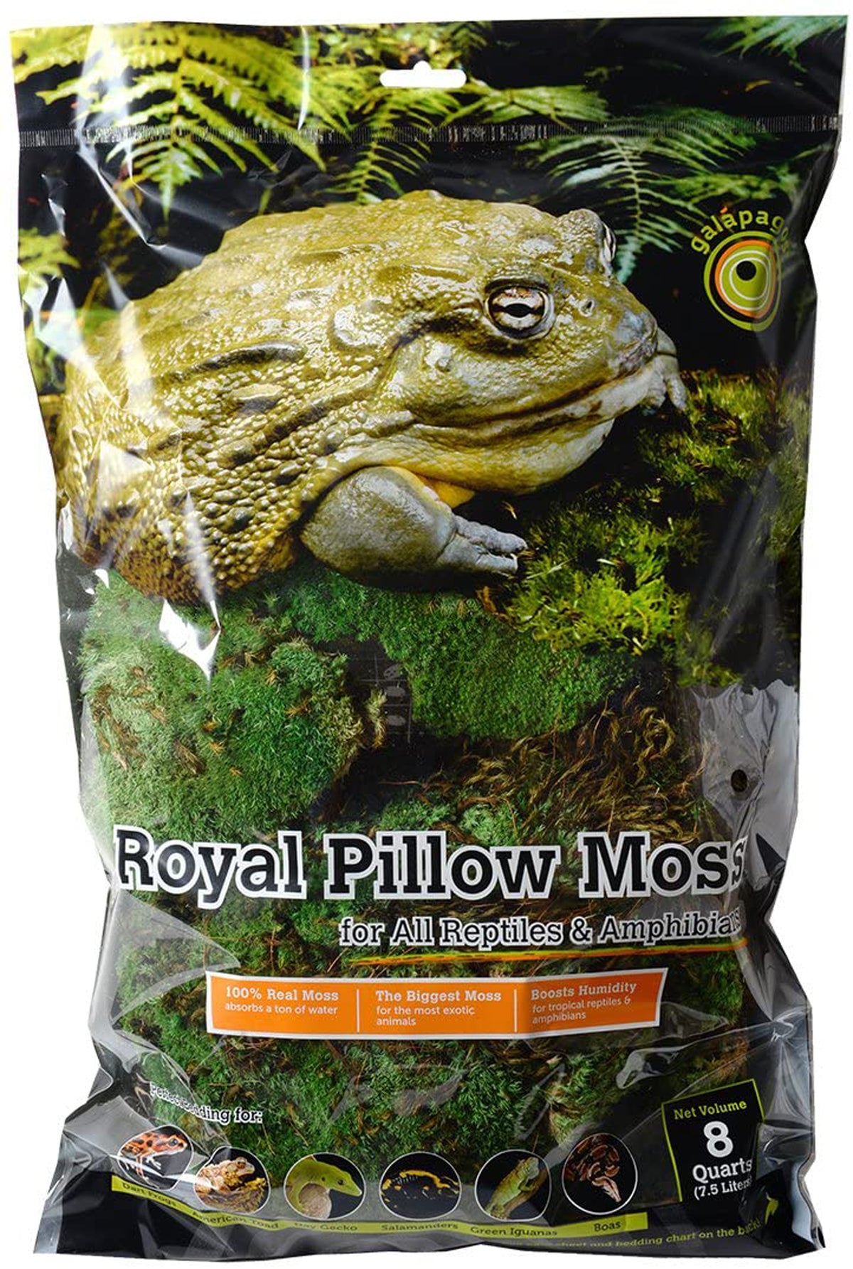 Galapagos Royal Pillow Moss for Tropical & Forest Tanks Fresh Green 8 qt