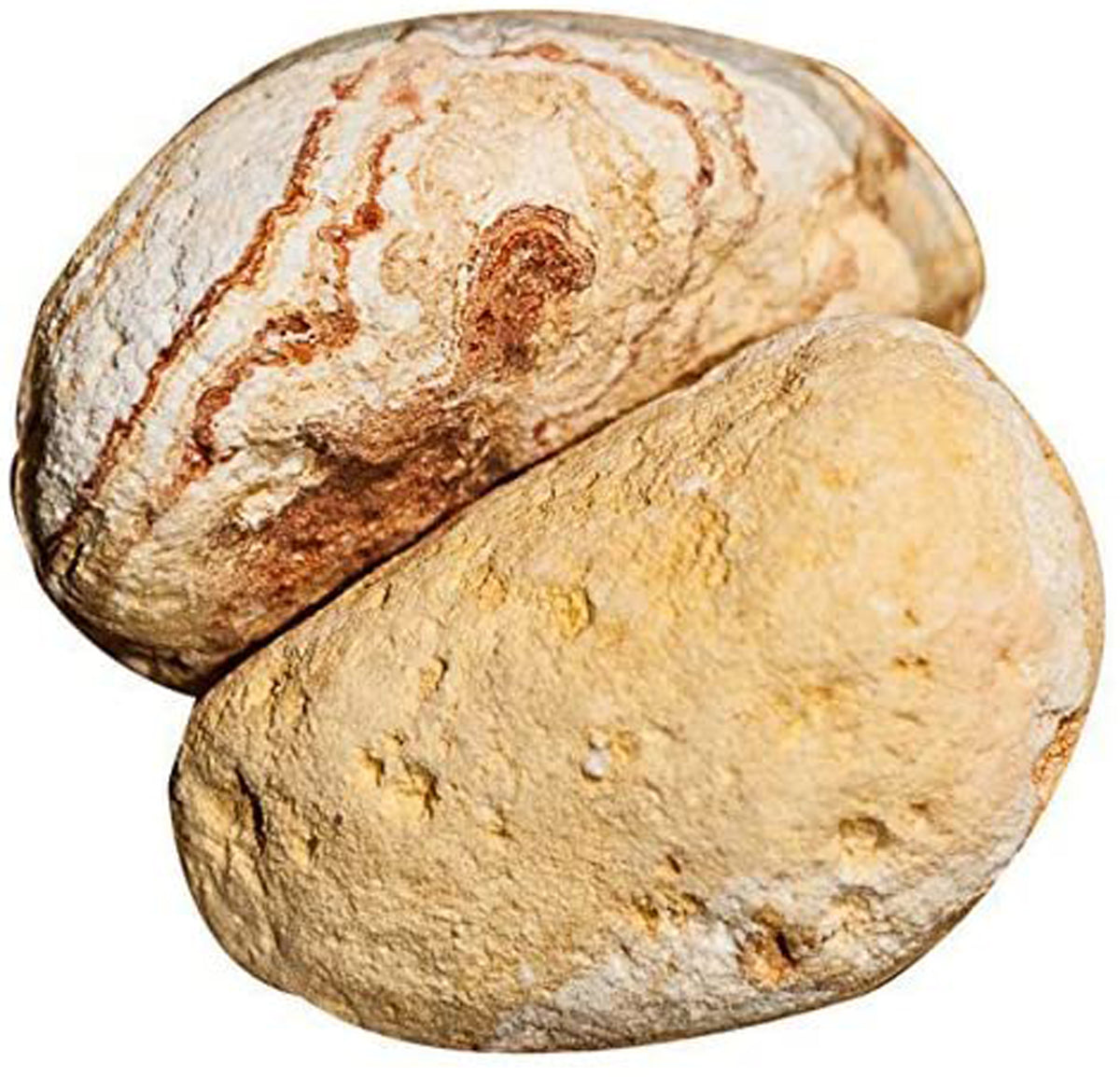 Galapagos Natural Stones for Terrarium Mixed 4 lb