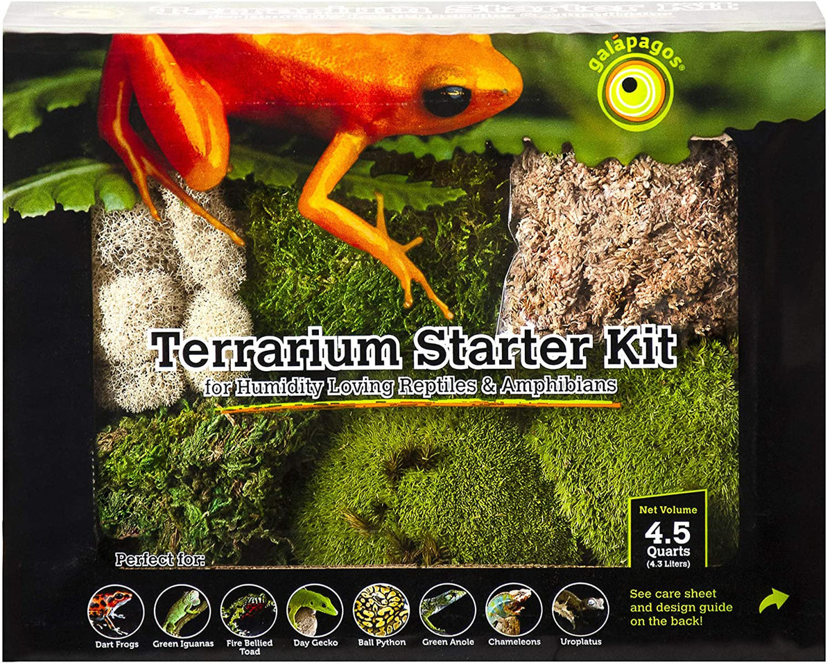 Galapagos Humid Environment Terrarium Starter Kit