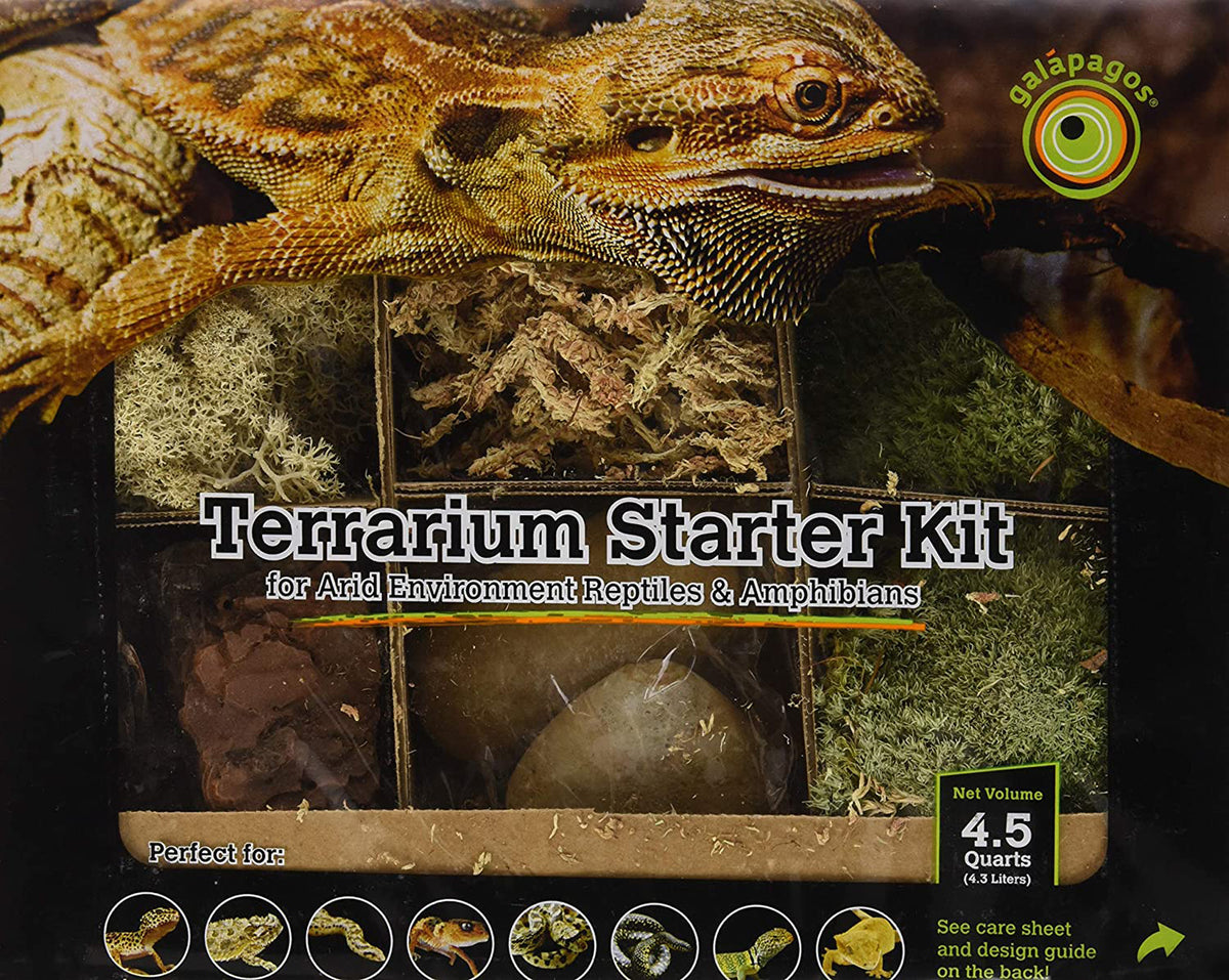 Galapagos Arid Environment Terrarium Starter Kit