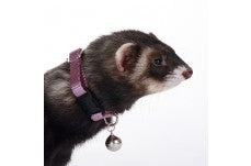 Marshall Pet Products Ferret Bell Collar Purple 3/8 in