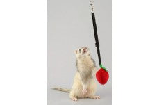 Marshall Pet Products Ferret Bungee Toy Platypus Pink One Size