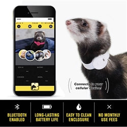 Marshall Pet Products Ferret Finder GPS Collar White