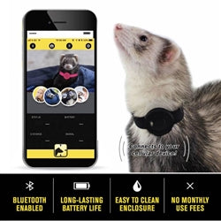 Marshall Pet Products Ferret Finder GPS Collar Black