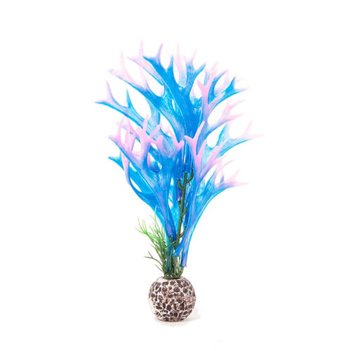Aquatop Staghorn Aquarium Plant Blue, Pink 8 in