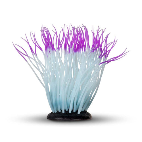 Aquatop Silicone Sea Creature Anemone Coral Ornament Purple, White, 1ea/5 in