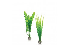 Biorb Easy Plant Set Green Medium 2Pk