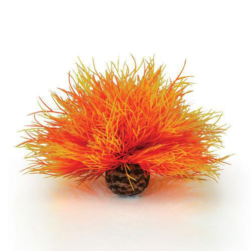 BiOrb Sea Lily Aquarium Plant Orange 4.33 in