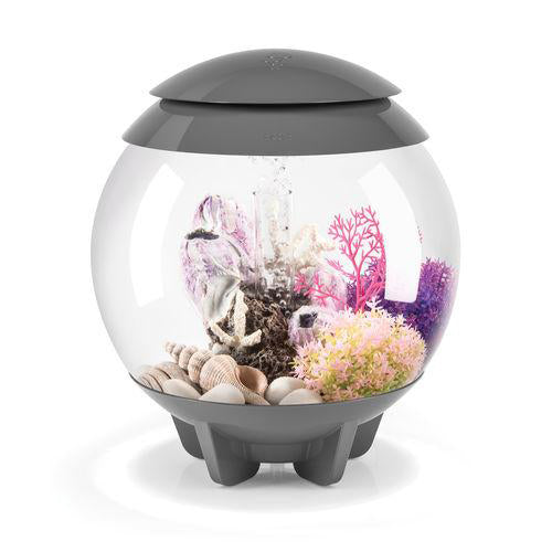 BiOrb HALO Multi-Color Remote Acrylic Aquarium Kit Grey, Clear 4 gallons