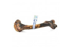 Barkworthies Venison Femur (Small Bone Box) Sold As Whole Case Of 10