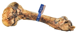 Barkworthies Wild Boar Femur (Small Bone Box) Sold As Whole Case Of 10