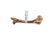 Barkworthies Wild Boar Humerus (Small Bone Box) Sold As Whole Case Of 20