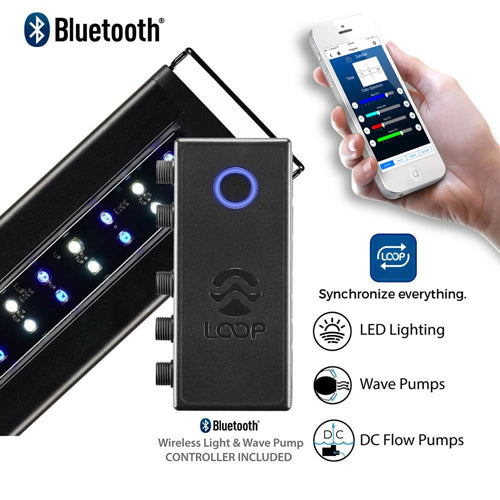 Current USA Orbit Marine IC LED Light Fixture with LOOP Bluetooth Control Black 1ea/36-48 in