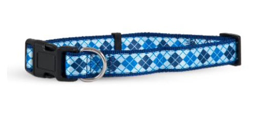 Aspen Ribbon Overlay Adjustable Dog Collar Blue 5/8 in x 10-14 in Small