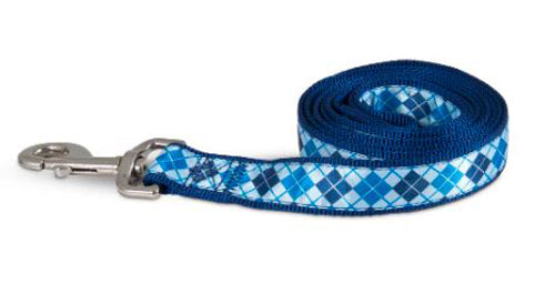 Aspen Ribbon Overlay Dog Leash Blue 1 in x 6 ft One Size