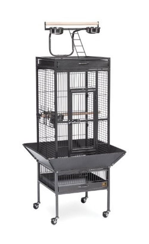 Prevue Pet Products 3151 Select Series Wrought Iron Bird Cage Hammertone Black