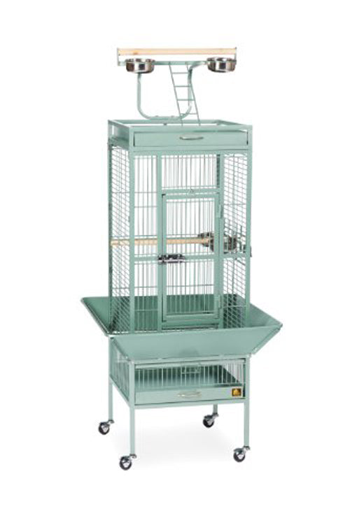 Prevue Pet Products 3151 Select Series Wrought Iron Bird Cage Sage Green