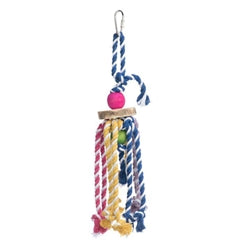 Prevue Pet Products Court Jester Bird Toy Multi-Color 2.25 In X 12 In, Small