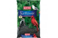 Kaytee Black Oil Sunflower 10 Pounds