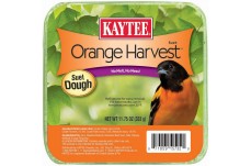 Kaytee Orange Harvest Suet Dough