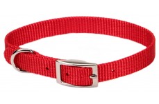 Coastal Single-Ply Nylon Collar Red 3/8X12In