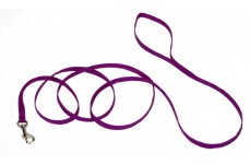 Coastal Single-Ply Nylon Leash Purple 3/8X6Ft