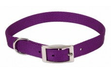 Coastal Single-Ply Nylon Collar Purple 5/8X14In