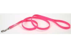 Coastal Single-Ply Nylon Dog Leash Neon Pink 5/8 in x 6 ft