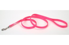 Coastal Single-Ply Nylon Dog Leash Neon Pink 3/4 in x 4 ft