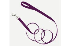 Coastal Single-Ply Nylon Dog Leash Purple 3/4 in x 4 ft